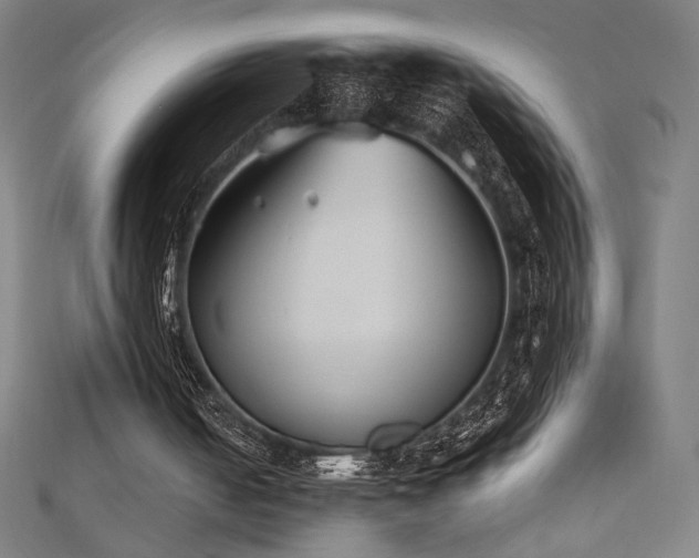 X0000112520050200908171403