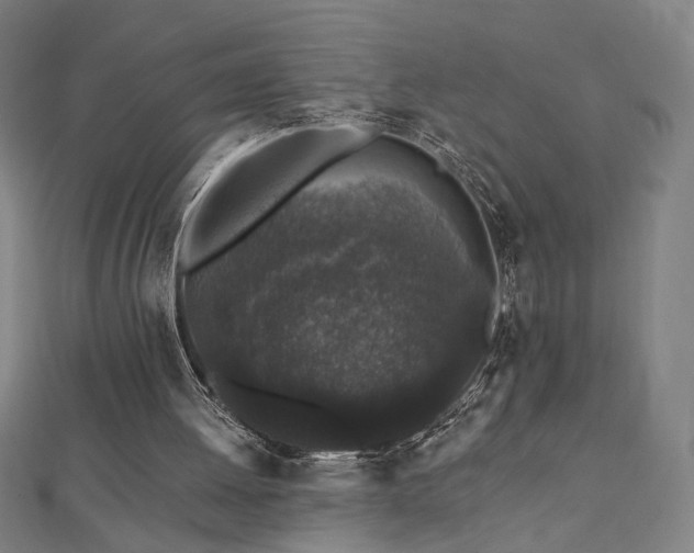 X0000112520052200908171403