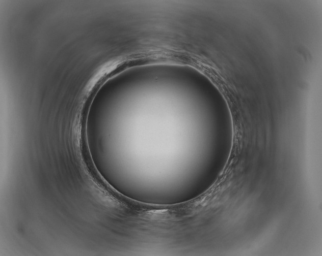 X0000112520054200908171403