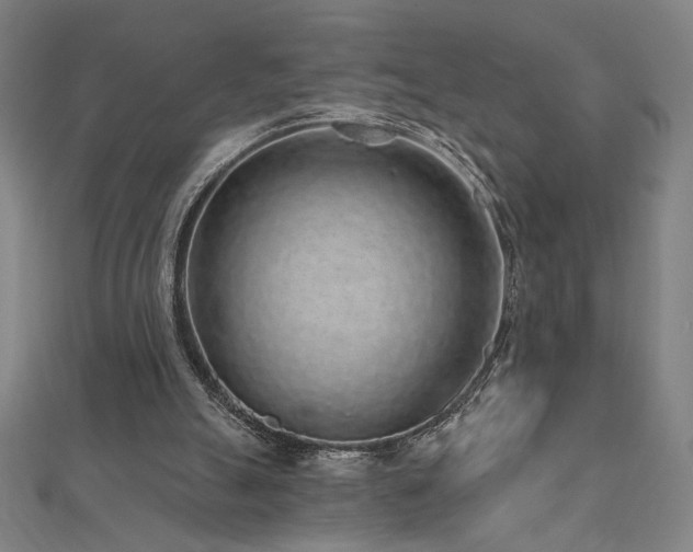X0000112520055200908171403