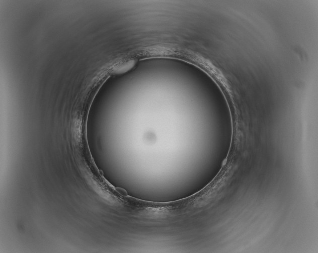 X0000112520057200908171403
