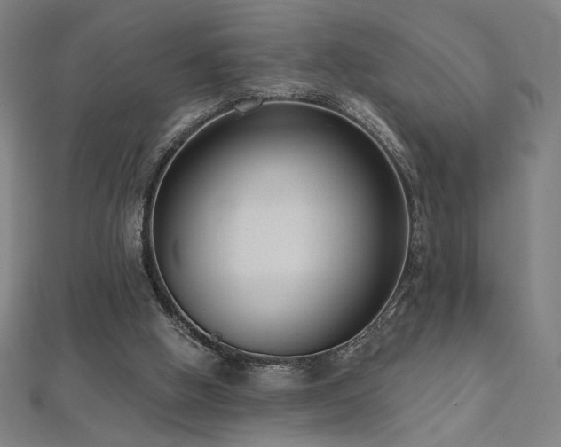 X0000112520058200908171403