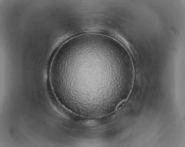 X0000112520059200908171403