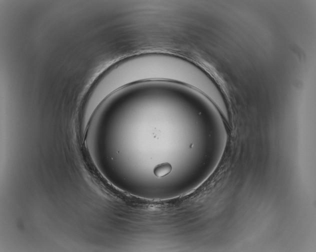 X0000112520060200908171403