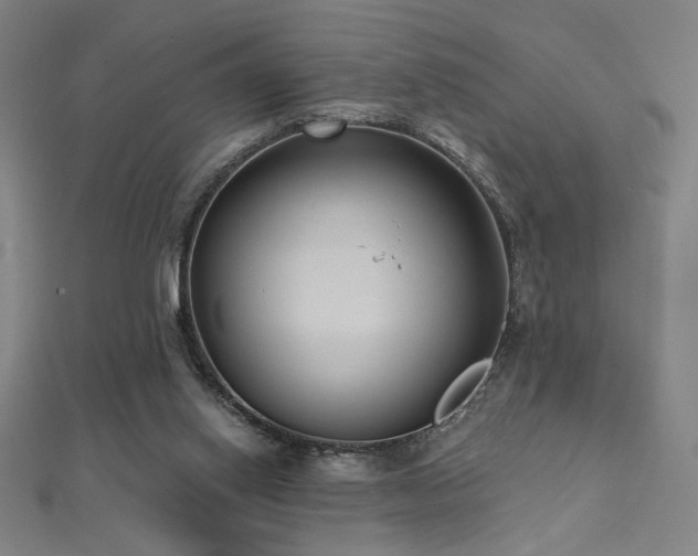 X0000112520062200908171403