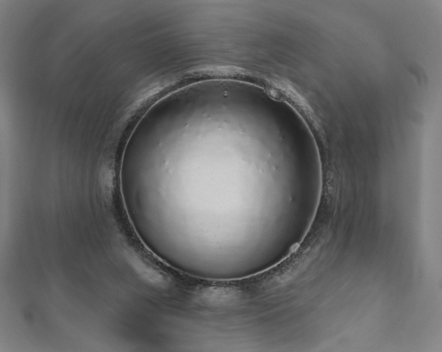 X0000112520063200908171403