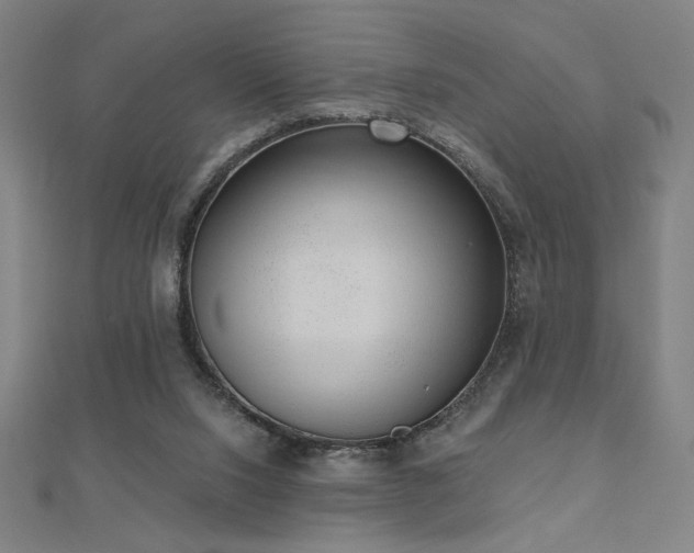 X0000112520064200908171403