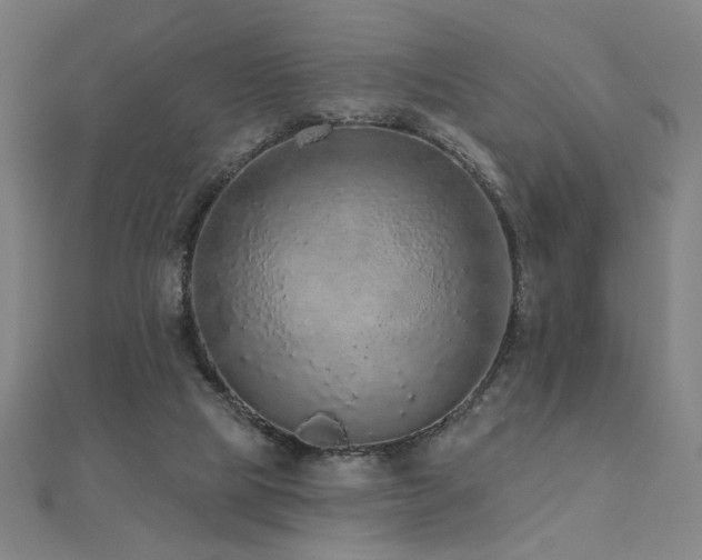 X0000112520065200908171403
