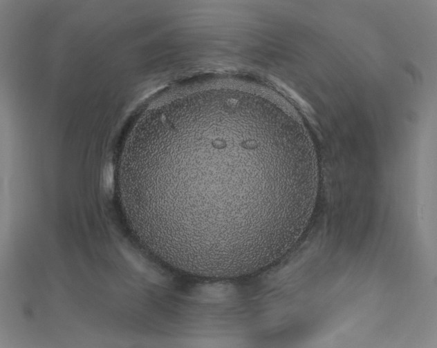 X0000112520067200908171403