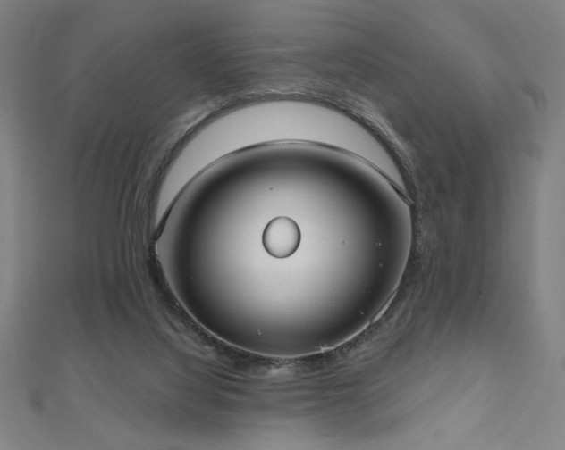 X0000112520068200908171403