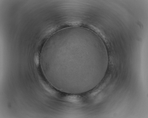 X0000112520069200908171403