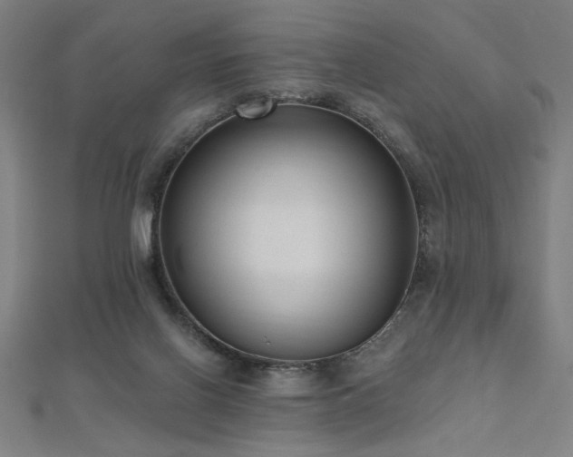X0000112520070200908171403