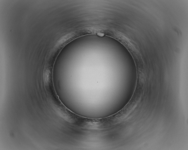X0000112520071200908171403