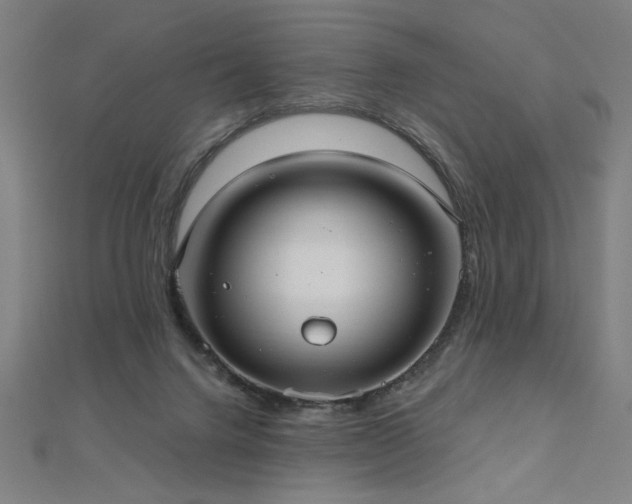 X0000112520072200908171403