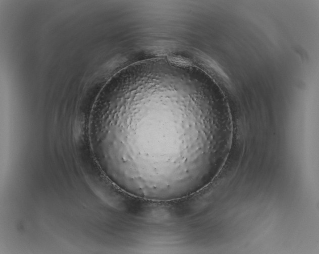 X0000112520073200908171404