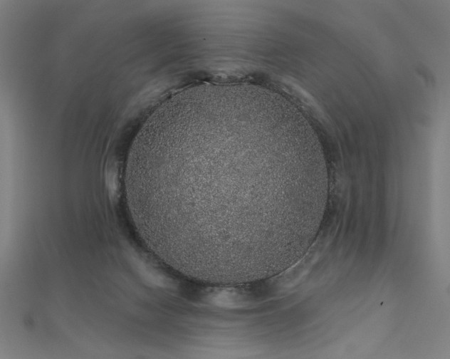 X0000112520074200908171404