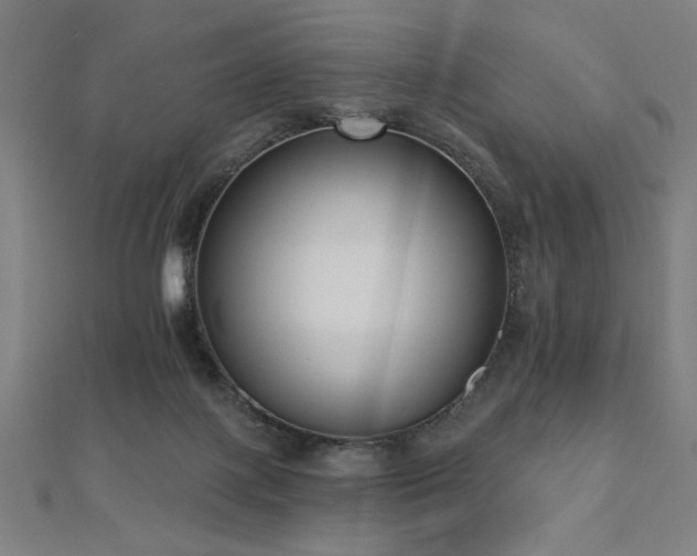 X0000112520075200908171404