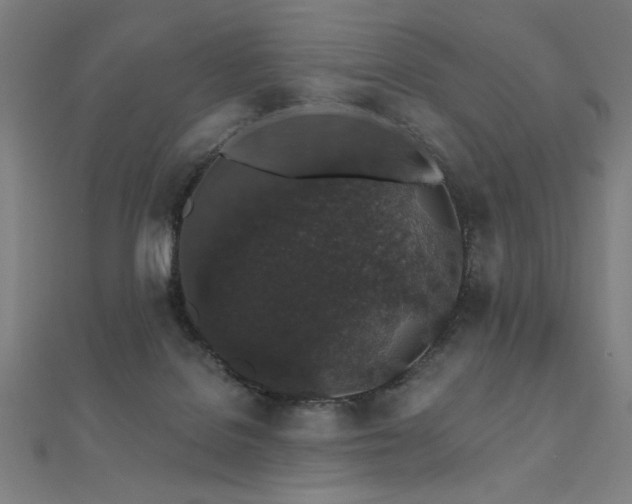 X0000112520076200908171404