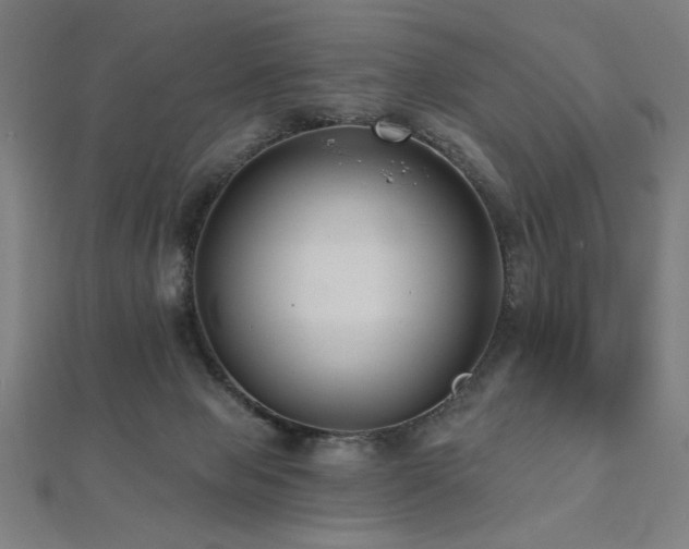 X0000112520077200908171404