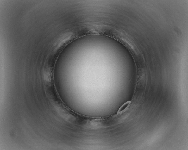 X0000112520078200908171404
