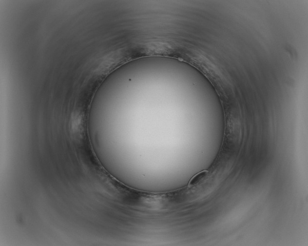 X0000112520079200908171404
