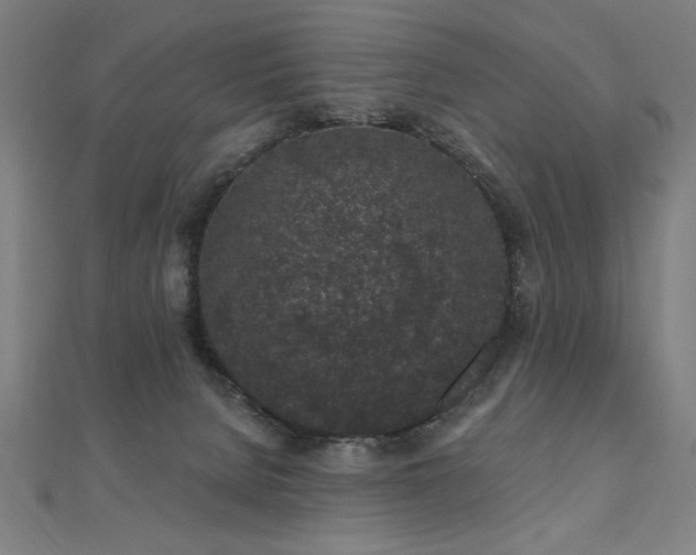X0000112520080200908171404