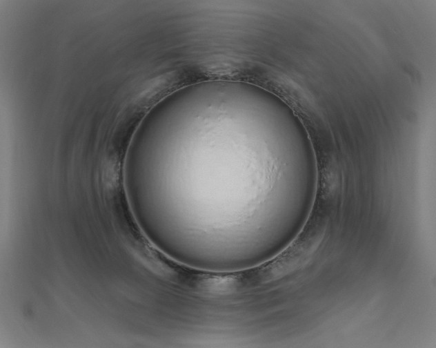 X0000112520081200908171404