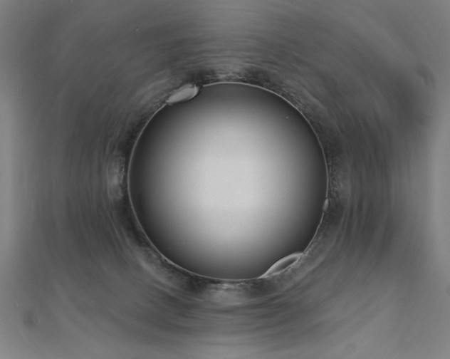 X0000112520082200908171404