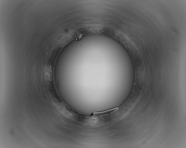 X0000112520083200908171404
