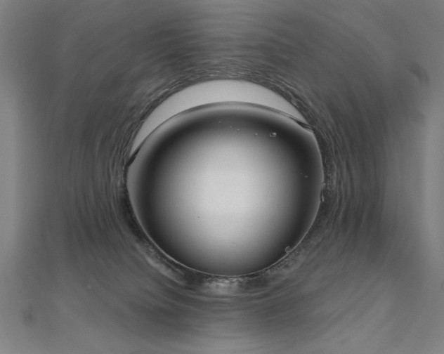 X0000112520084200908171404