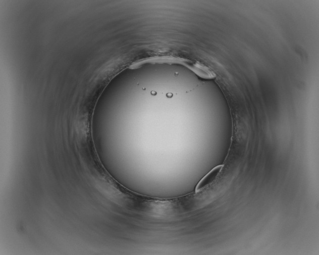 X0000112520085200908171404