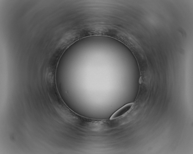 X0000112520086200908171404