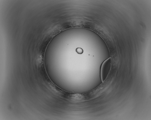 X0000112520087200908171404