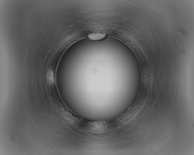 X0000112520089200908171404