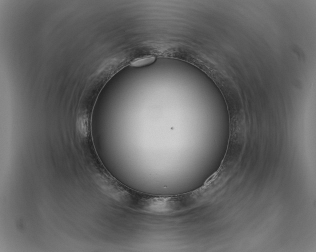X0000112520090200908171404