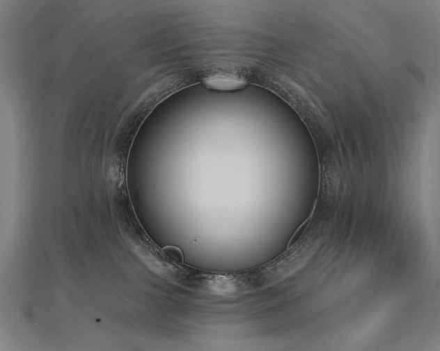 X0000112520091200908171404