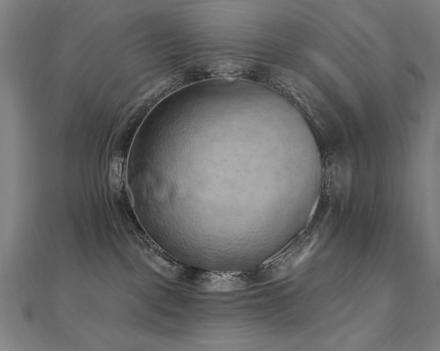 X0000112520093200908171404