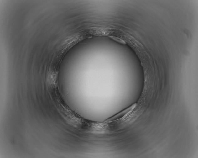 X0000112520096200908171404
