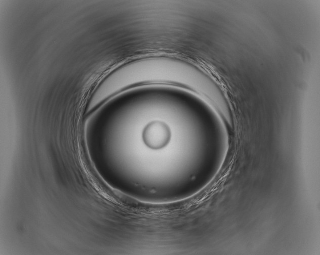 X0000112520097200908171403