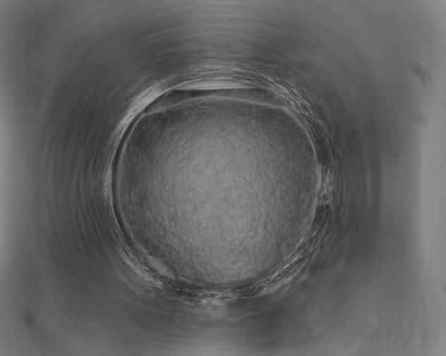 X0000112520099200908171403