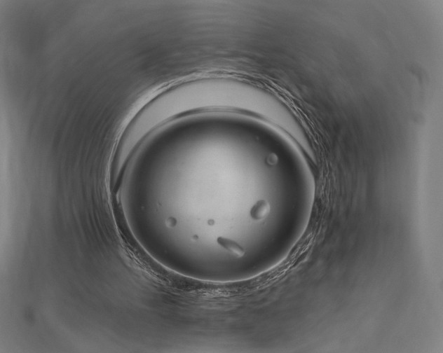 X0000112520100200908171403