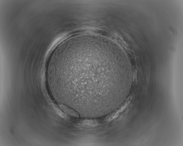 X0000112520101200908171403