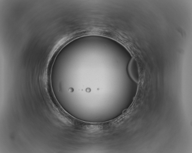 X0000112520102200908171403