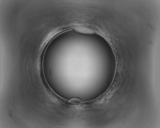 X0000112520103200908171403