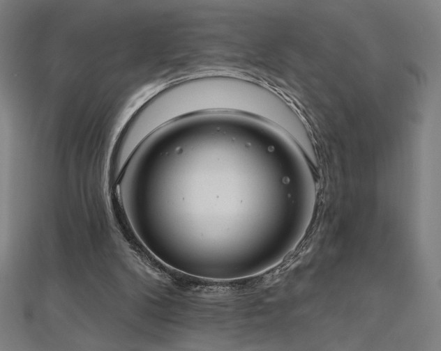 X0000112520104200908171403