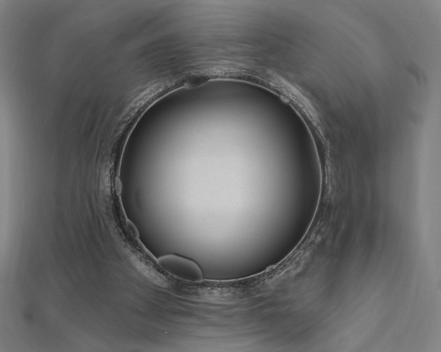 X0000112520105200908171403