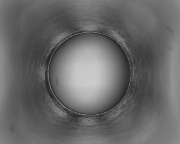 X0000112520106200908171403
