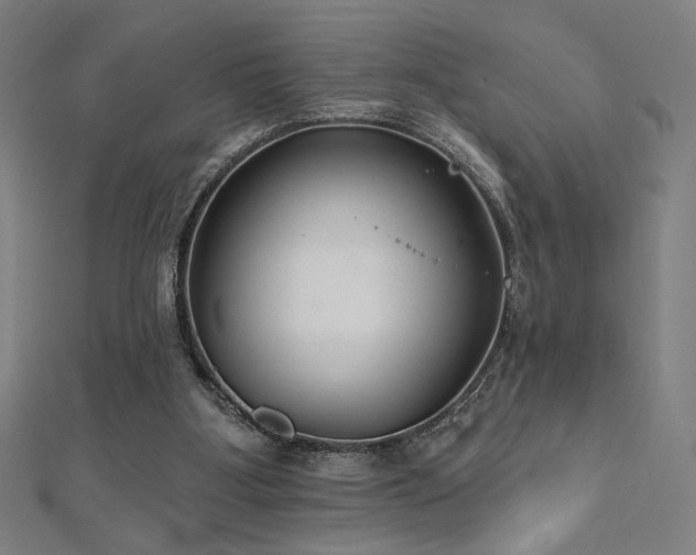 X0000112520107200908171403
