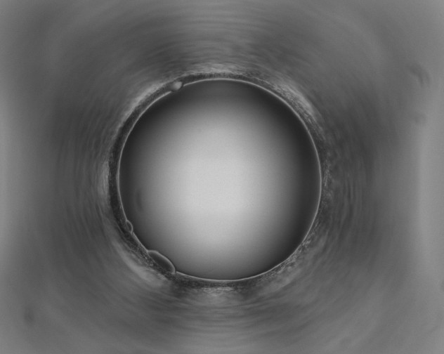 X0000112520108200908171403