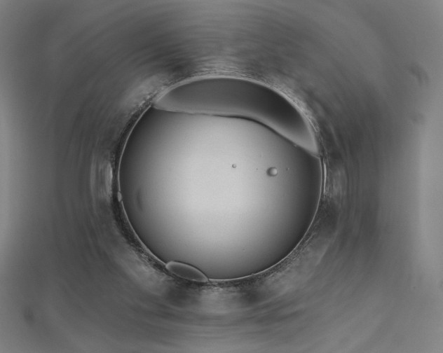 X0000112520109200908171403